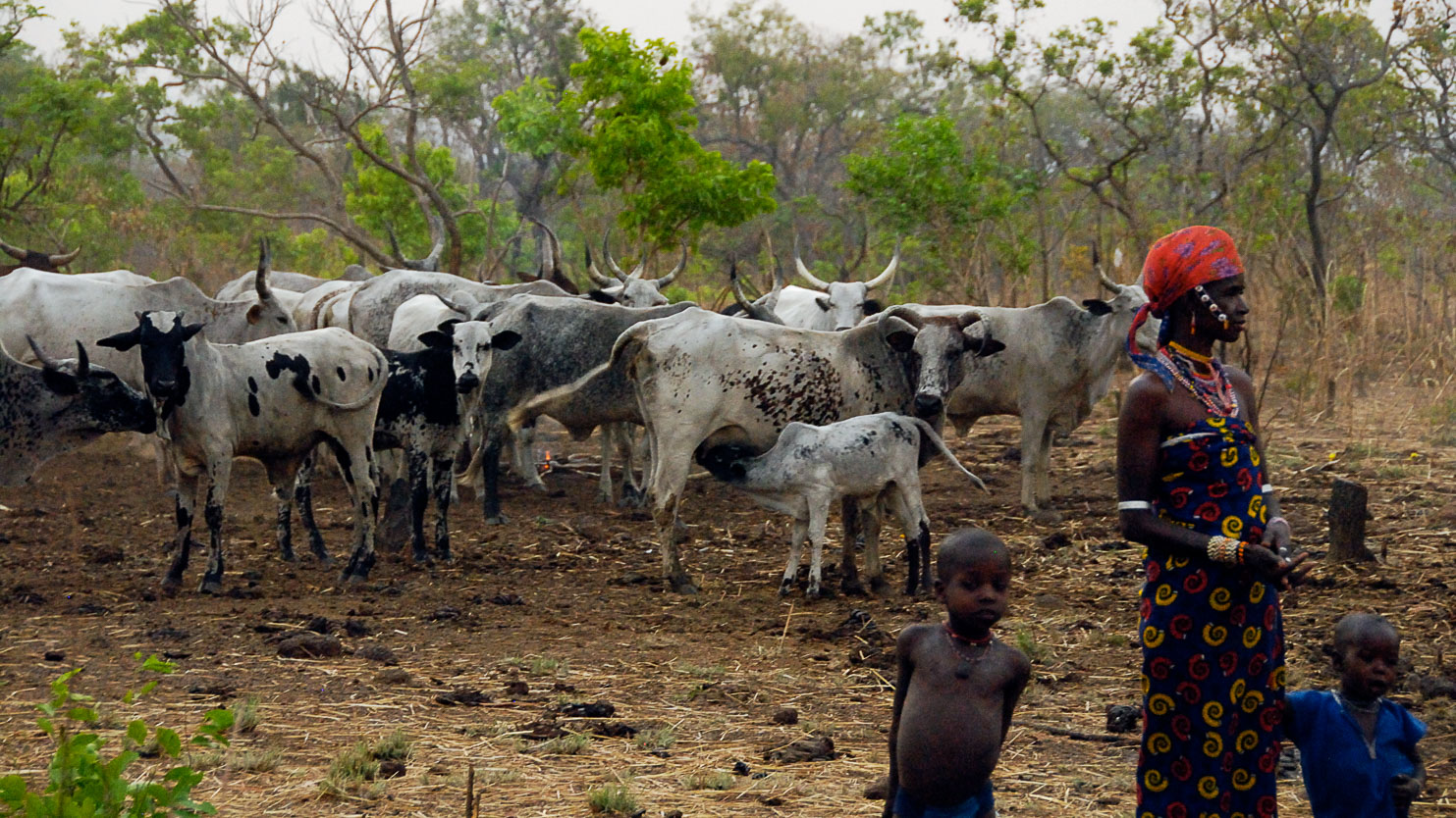 TB070747-Peul-nomads-in-the-Natitingou-region.jpg