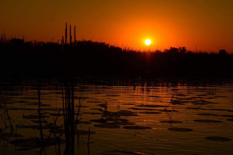 ZA131453-Okavango-Delta-sunset.jpg