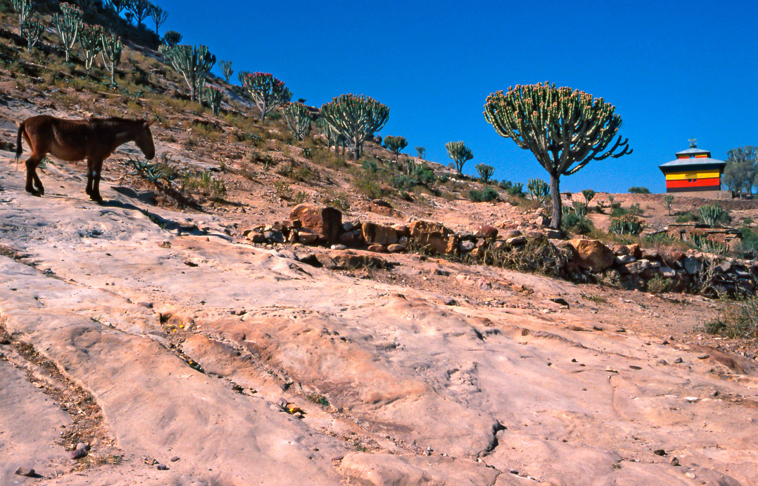 ET05049-Debre-Damo.jpg