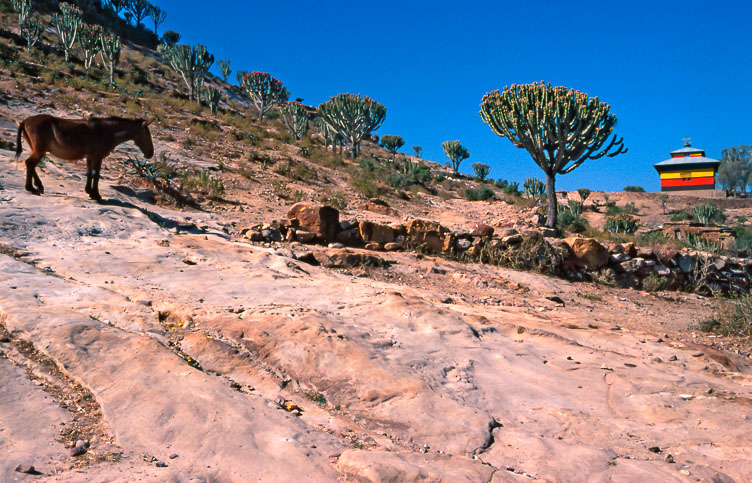 Debre Damo ET05049-Debre-Damo.jpg