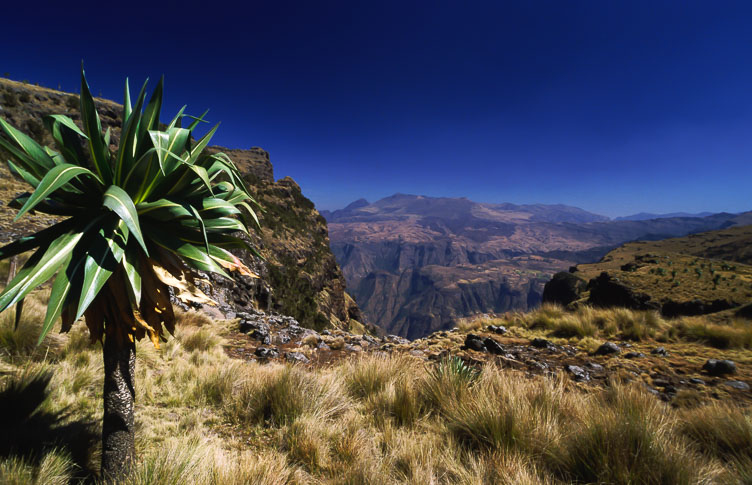 Simien Mountains ET05073-Simien-Mountains.jpg