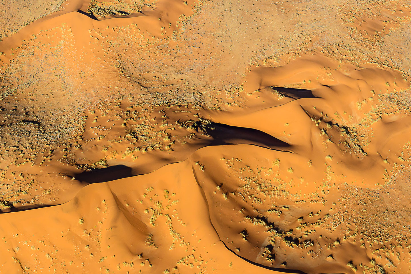 ZA130988-Dune-45-area.jpg