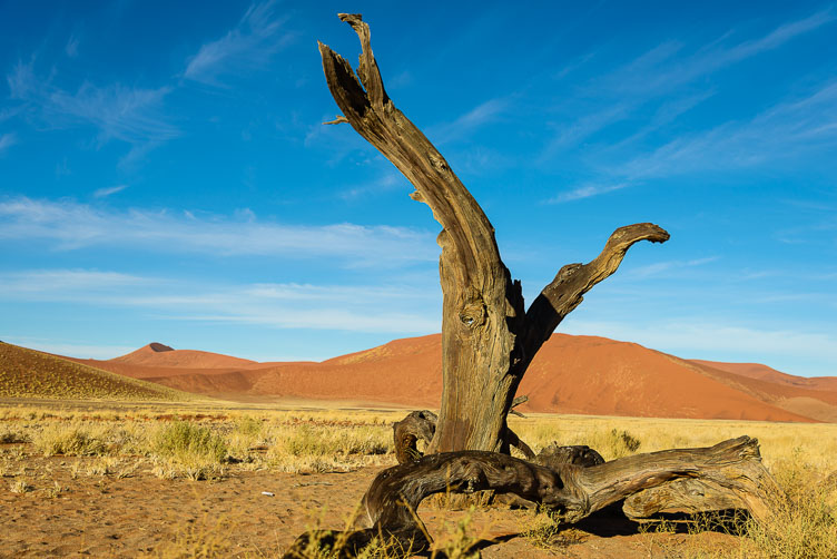 ZA130870-Sossusvlei.jpg