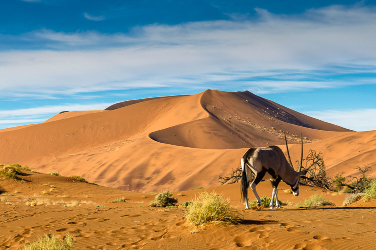 ZA130876-Sossusvlei.jpg