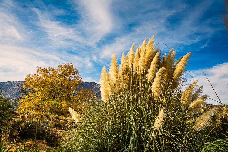 Cederbergen ZA130313-Cederbergen.jpg