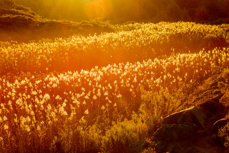 Cederbergens late afternoon ZA130414-Cederbergens-late-afternoon.jpg