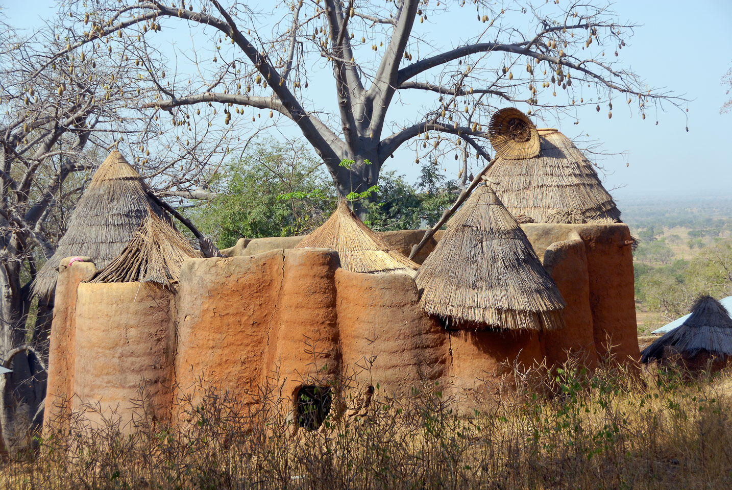 TB070571-Traditional-houses-of-the-Taberma-Valley.jpg