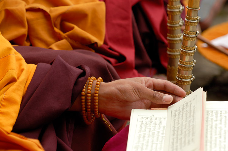 Reading the script. SB06622-Reading-the-script.jpg