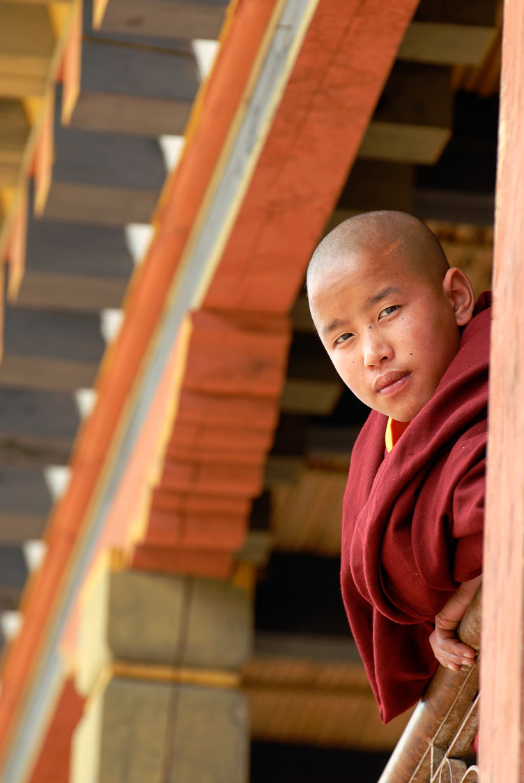 Young monk watching the show SB06653-Young-monk-watching-the-show_.jpg