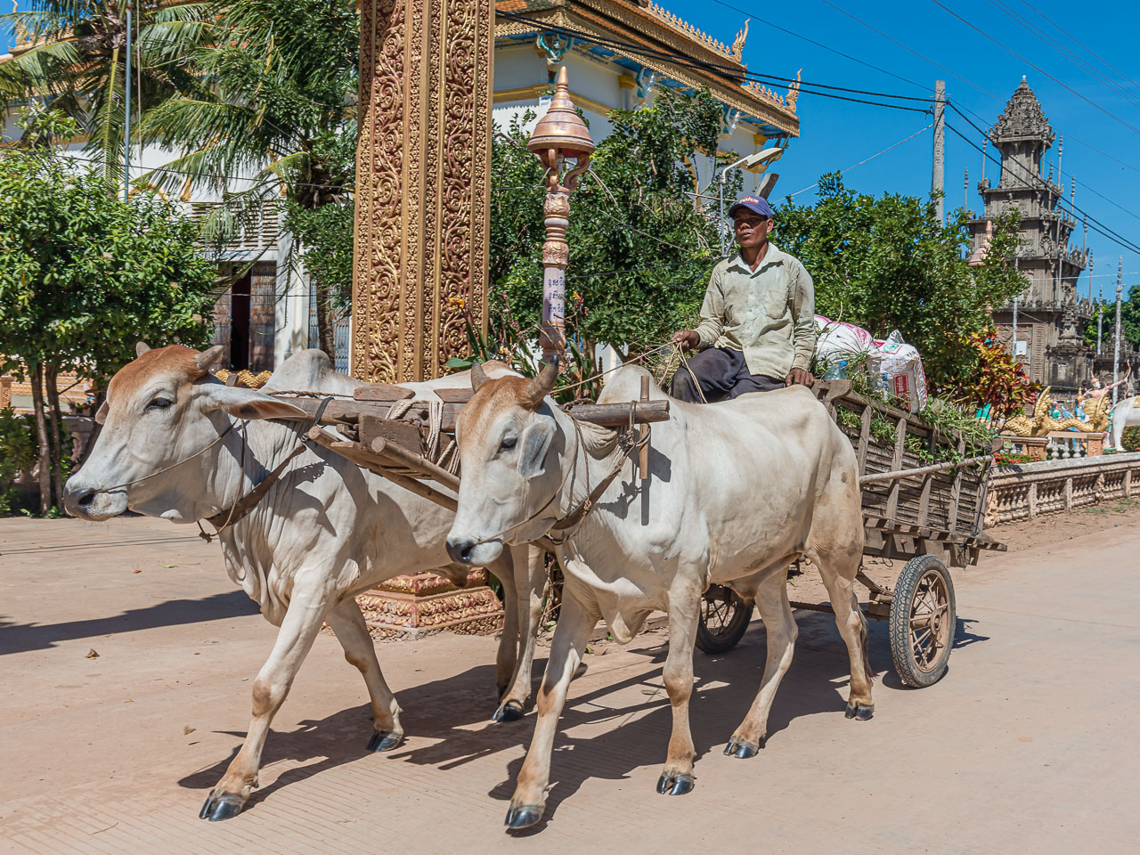 CA170616-Kompong-Cham---Oxcarts-are-common.jpg