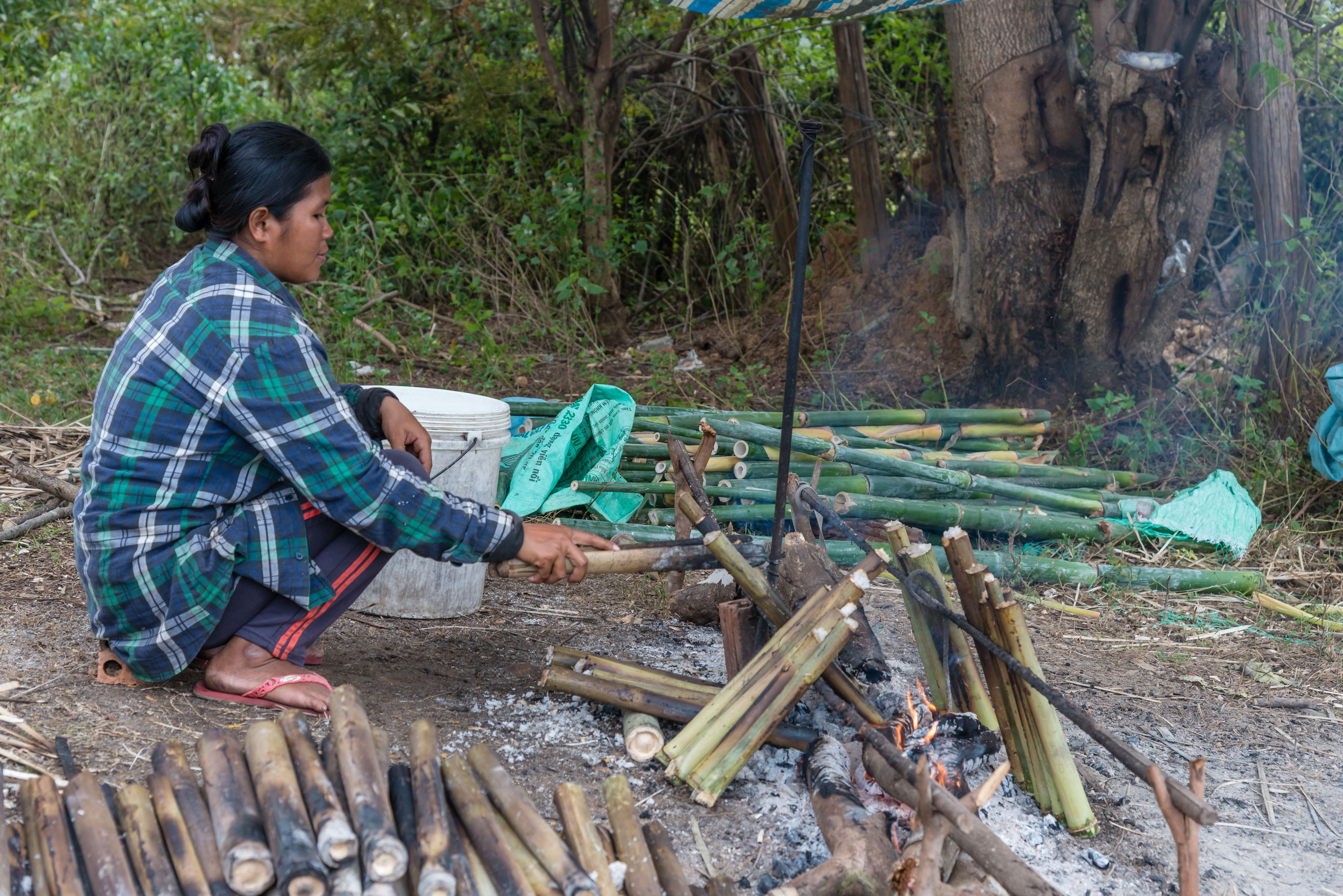 CA170086-Making-Sticky-rice-in-Bamboo_.jpg