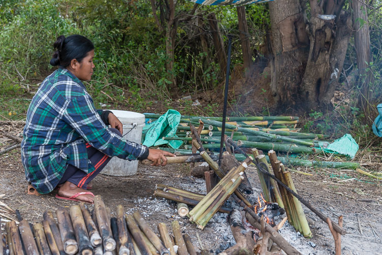 CA170086-Making-Sticky-rice-in-Bamboo_.jpg