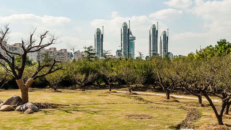 Shanghai-Millenium park CN073009-Shanghai-Millenium-park_.jpg