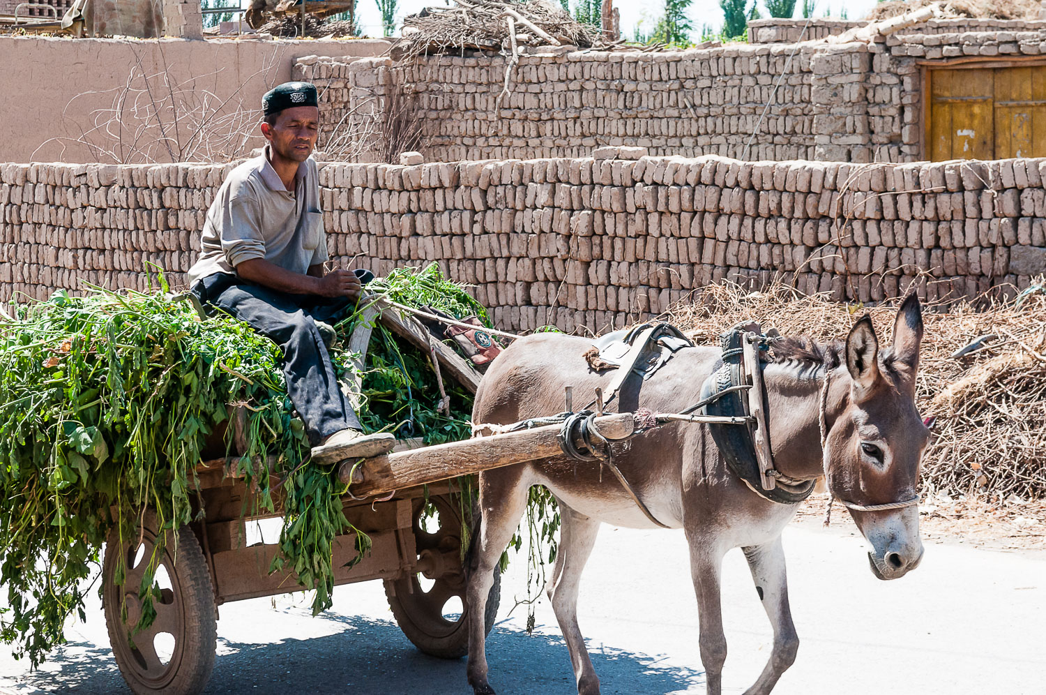 CN090249E-Turpan-Transport.jpg