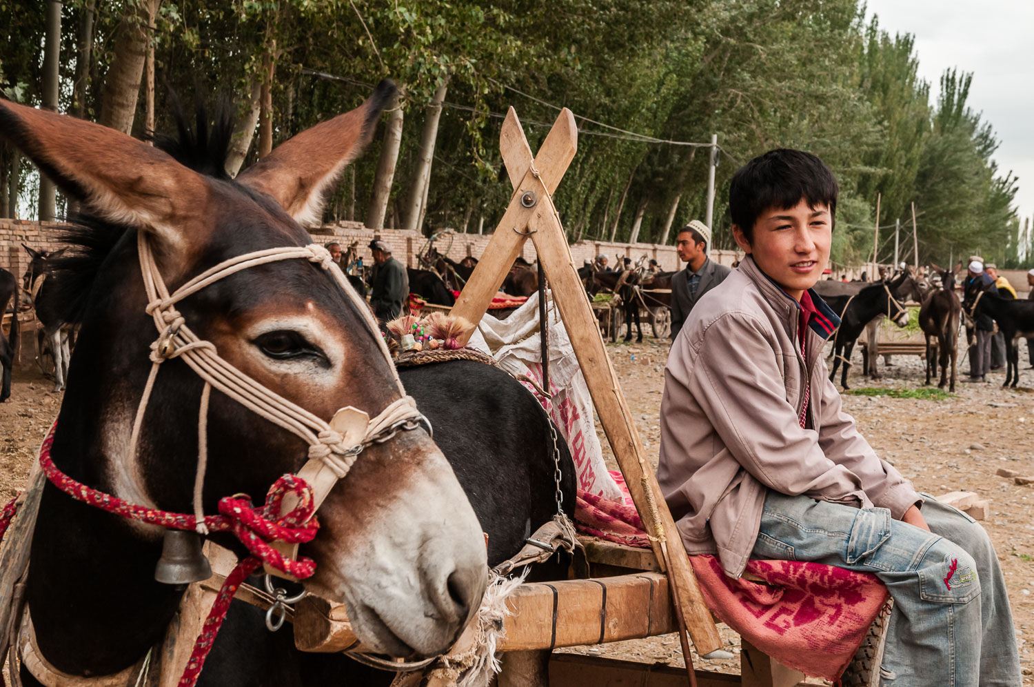 CN090469E-Kashgar-livestock-market.jpg