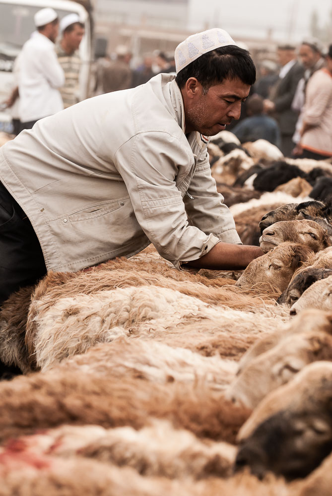 CN090536E-Kashgar-livestock-market.jpg