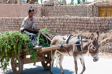 CN090249E-Turpan-Transport.jpg CN090249E-Turpan-Transport.jpg