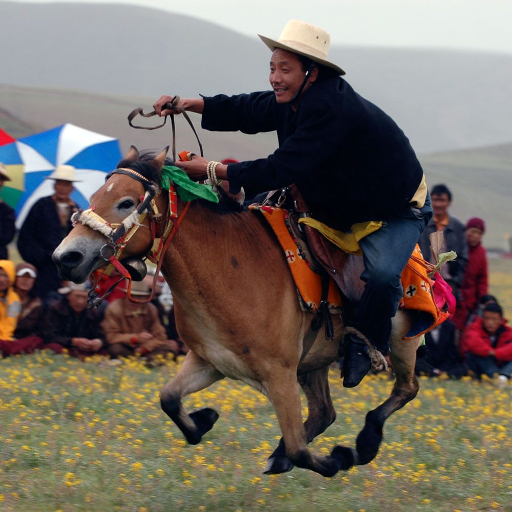 CN050127-Horse-riding_v1.jpg