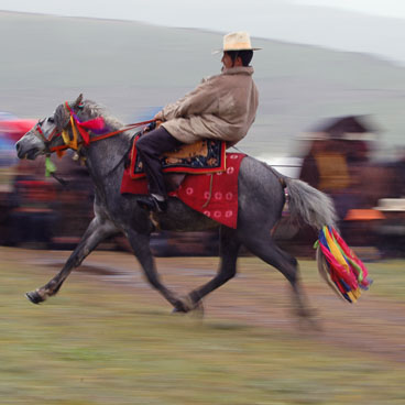 CN050131-Holding-the-reigns_v1.jpg CN050131-Holding-the-reigns_v1.jpg