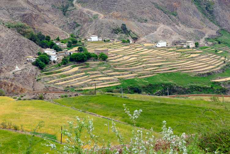 CN070496-.jpg CN070496-.jpg