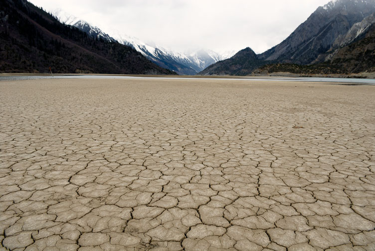 Rawok CN070594-Rawok_.jpg