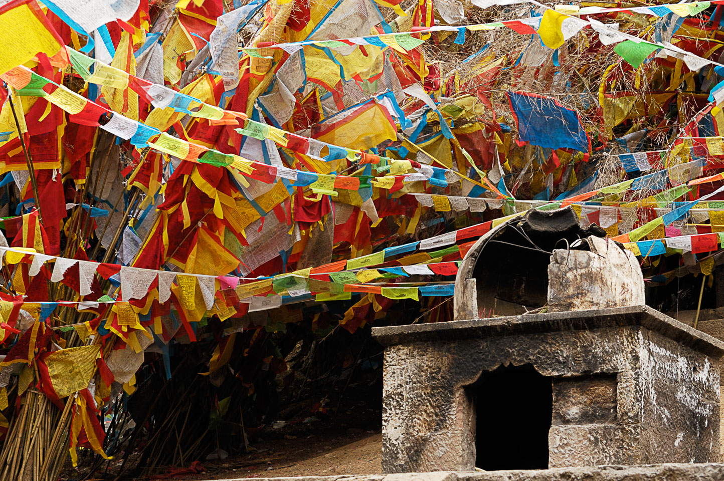 CN070337-Y-Zhongdian-Banyan-Tree-Temple_.jpg