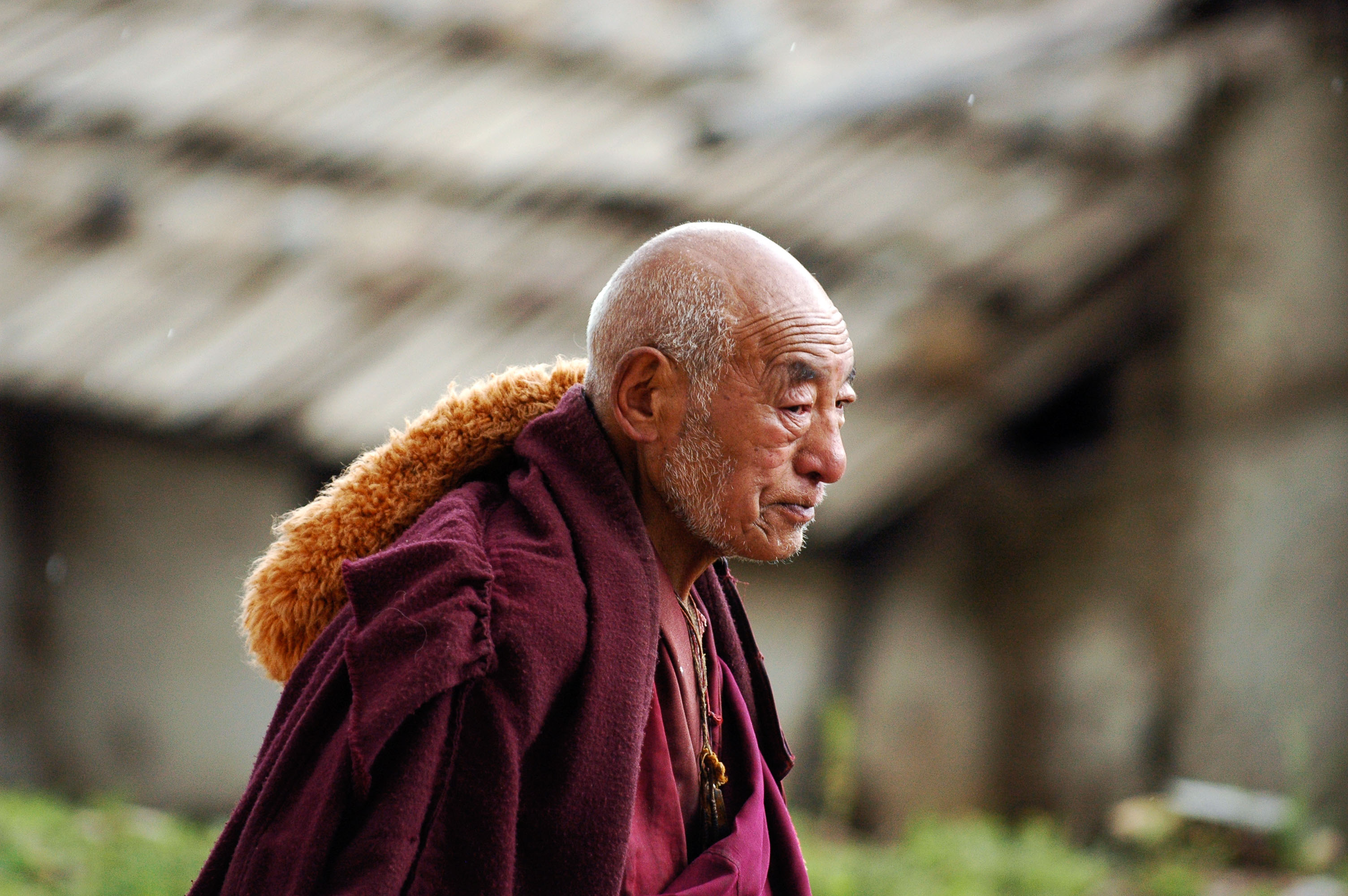 CN050855-Yellow-hat-monk-Langmusi.jpg