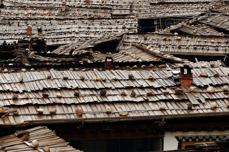 he roofs of a Langmusi monastery CN050863-he-roofs-of-a-Langmusi-monastery.jpg