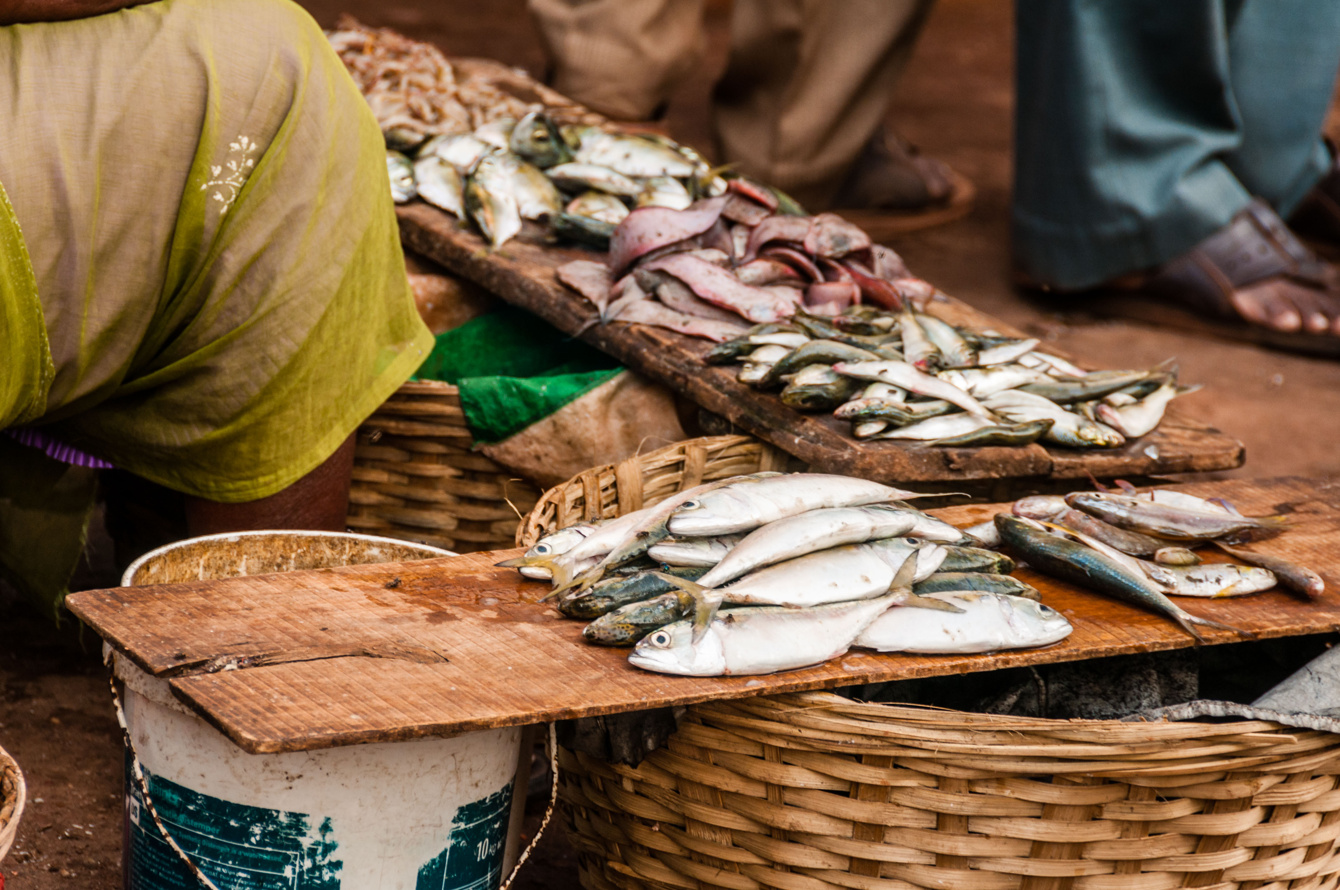 IN110249-the-Ponda-fish-market.jpg