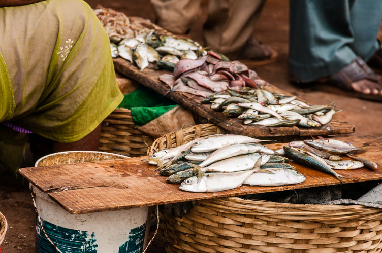 the Ponda fish market IN110249-the-Ponda-fish-market.jpg