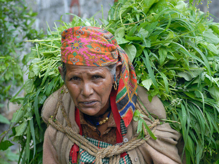 IN070880-Woman-carring-leaves.jpg