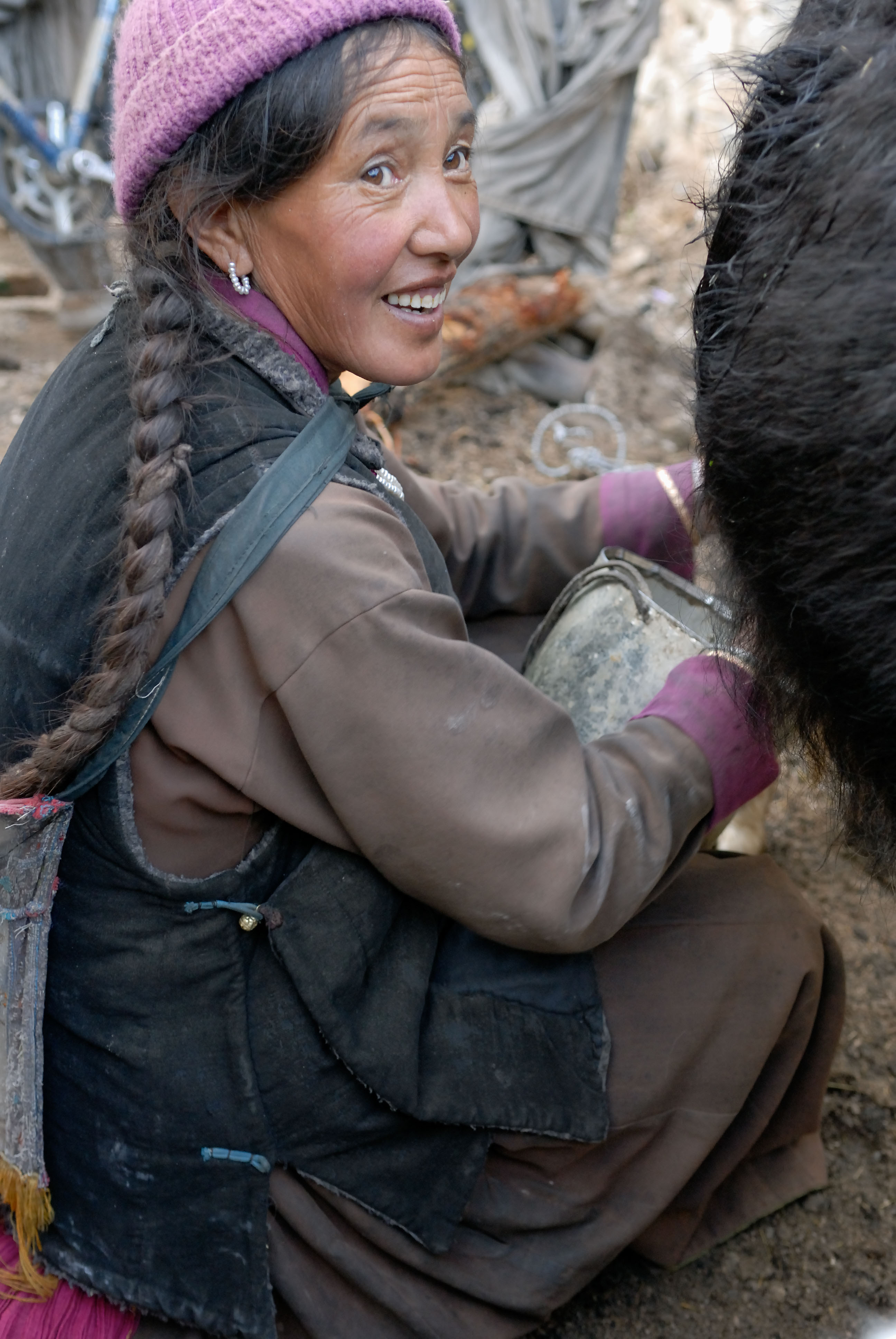 IN070546-Milking-a-Yak-aat-Yantang.jpg