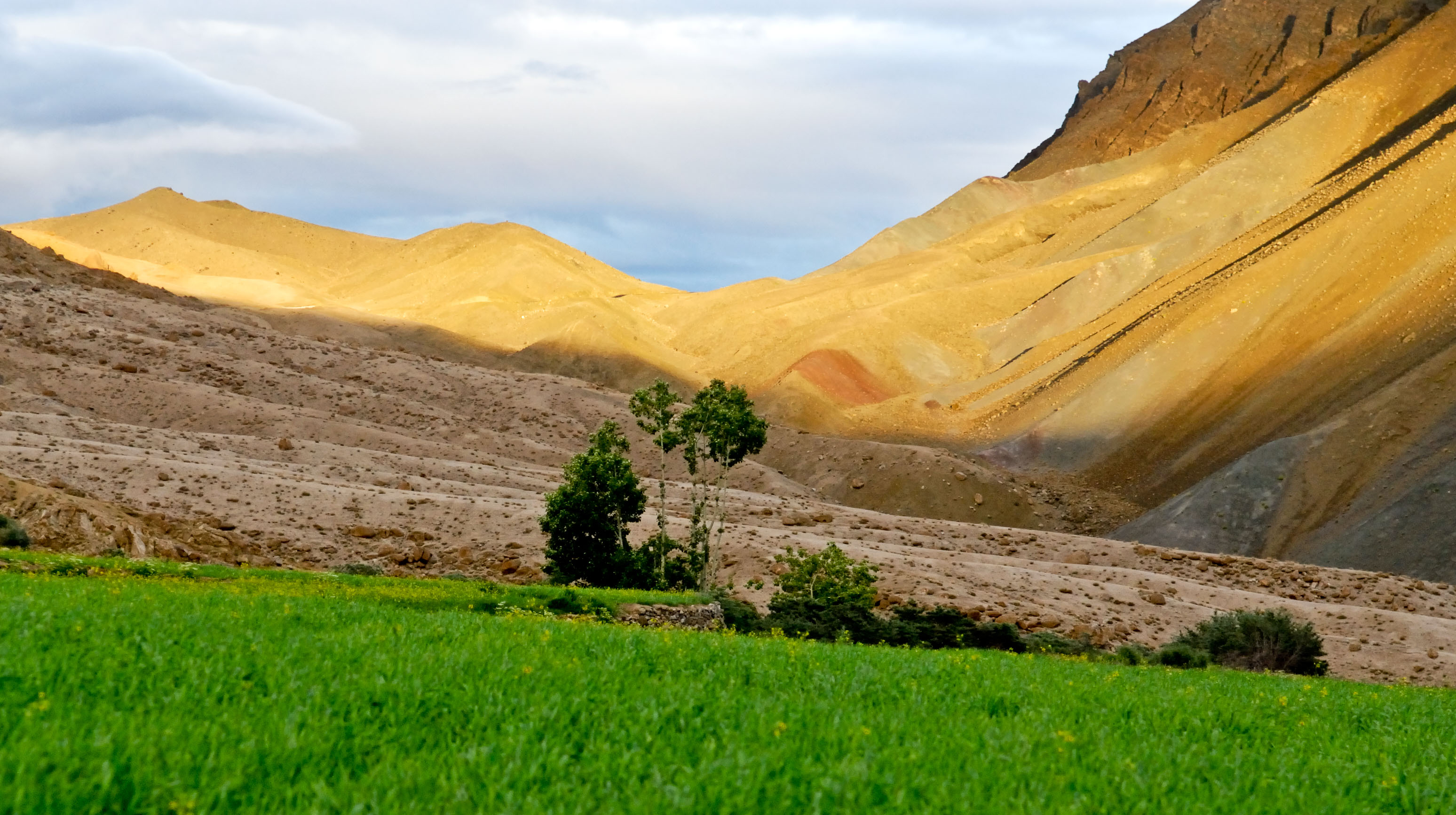 IN070553-Sunset-near-Yantang.jpg