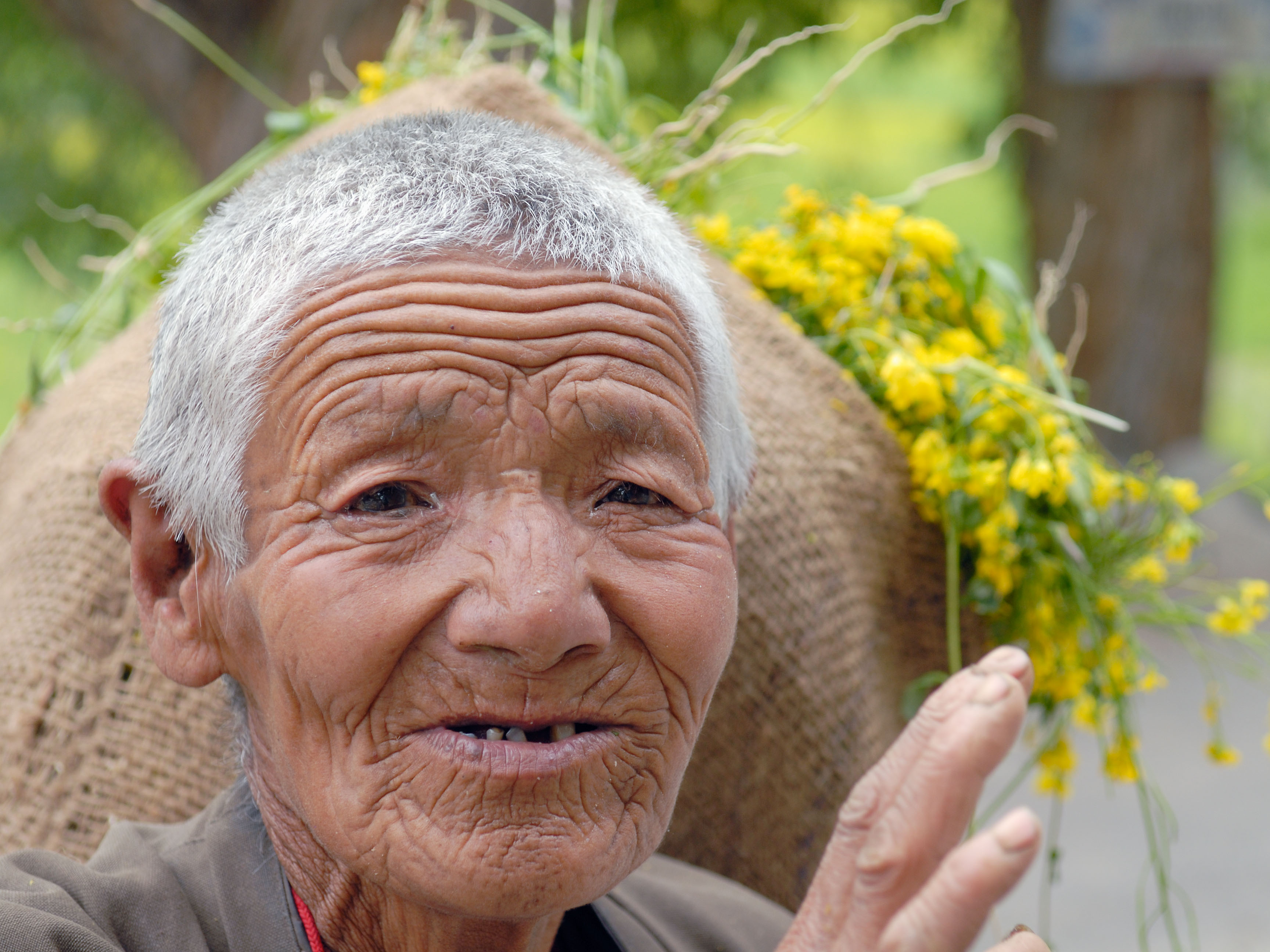 IN070619-Woman-carrying-mustard-plants-at-Themisgang.jpg