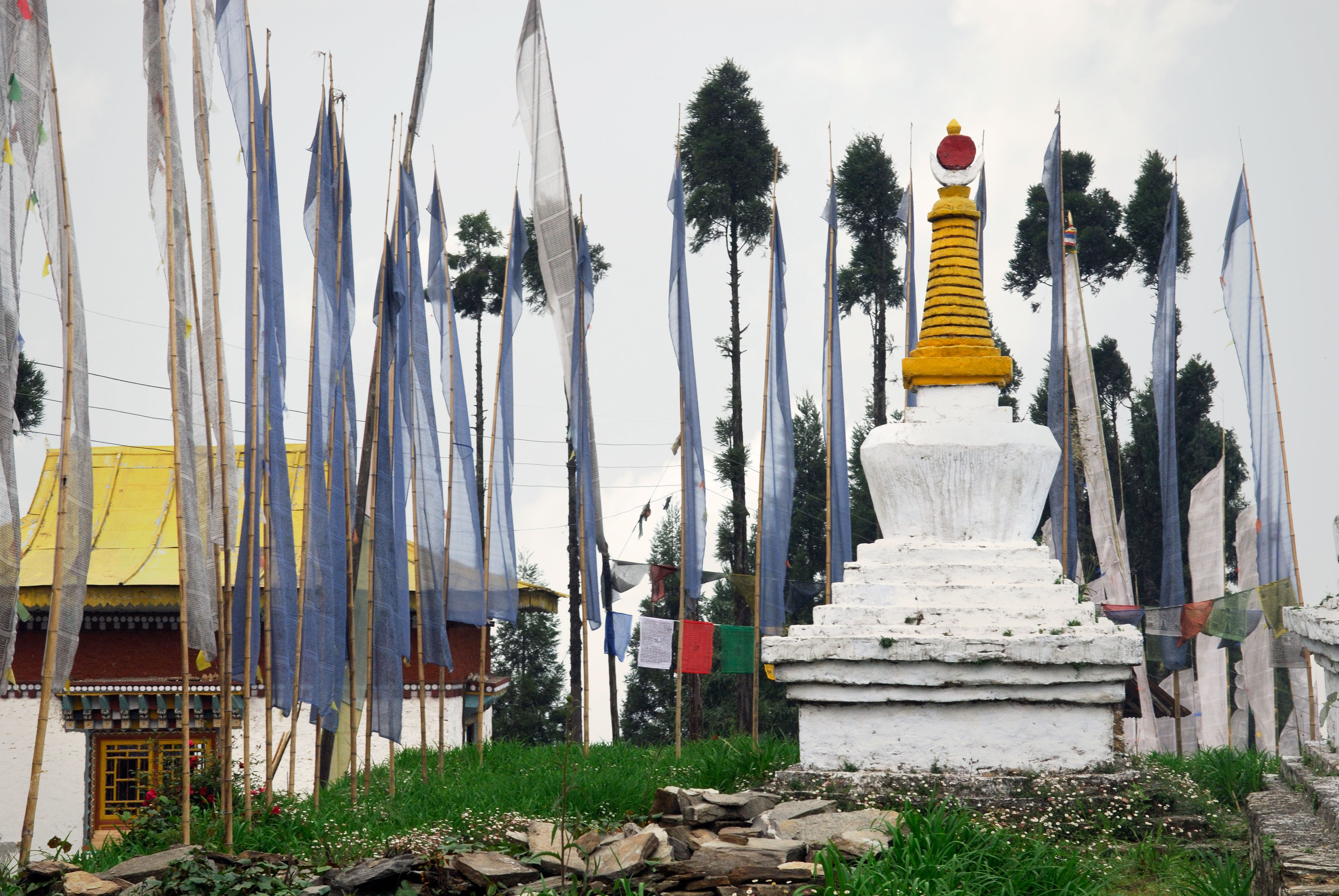 SB06148-Sanga-Cholingh-Monastery-in-Pelling.jpg