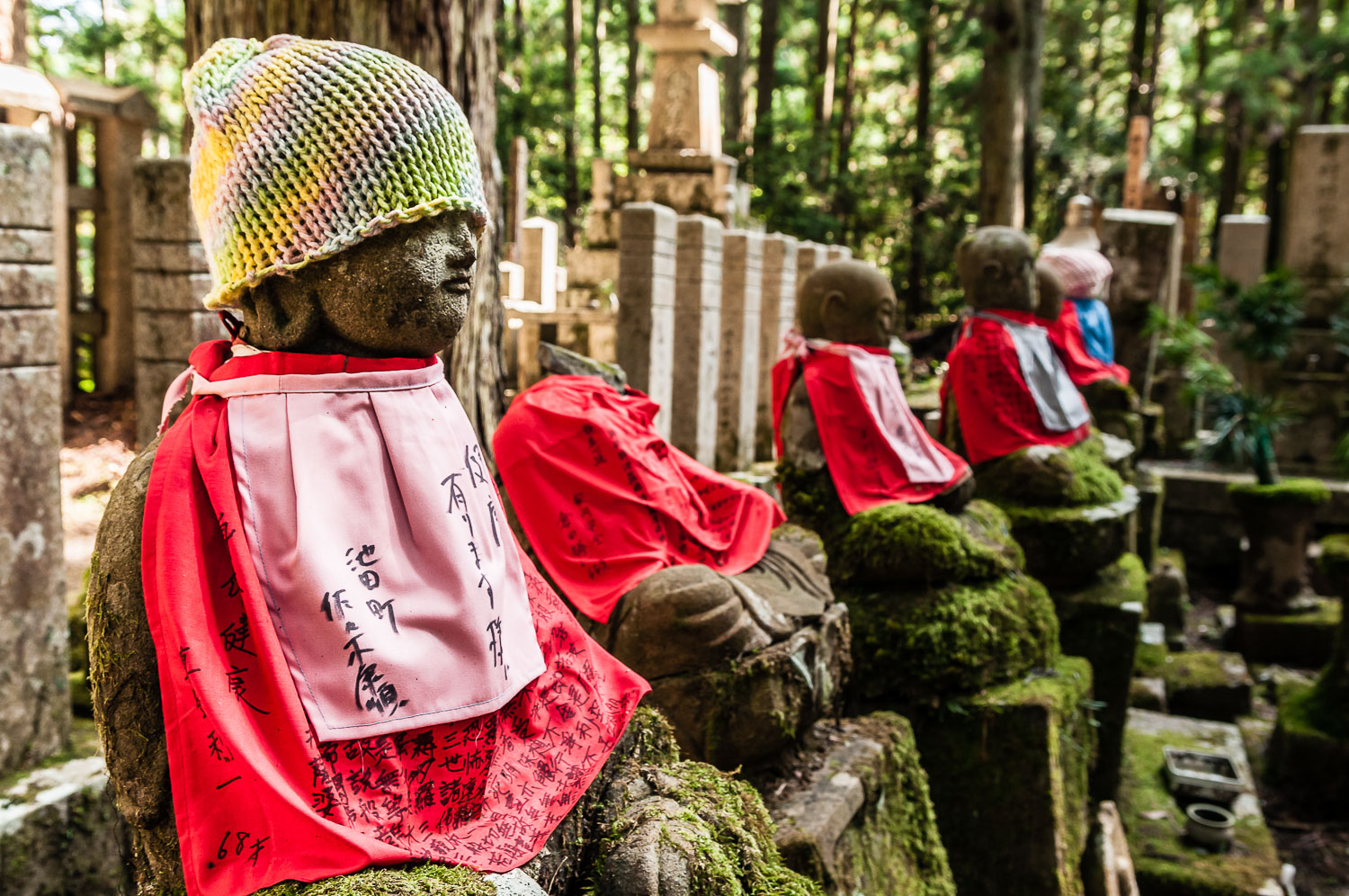 JA080870E-Mount-Koya--Cemetery.jpg