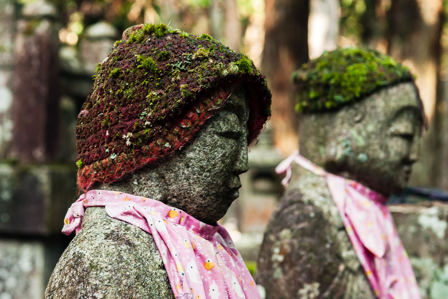 JA080885E-Mount-Koya--Cemetery.jpg