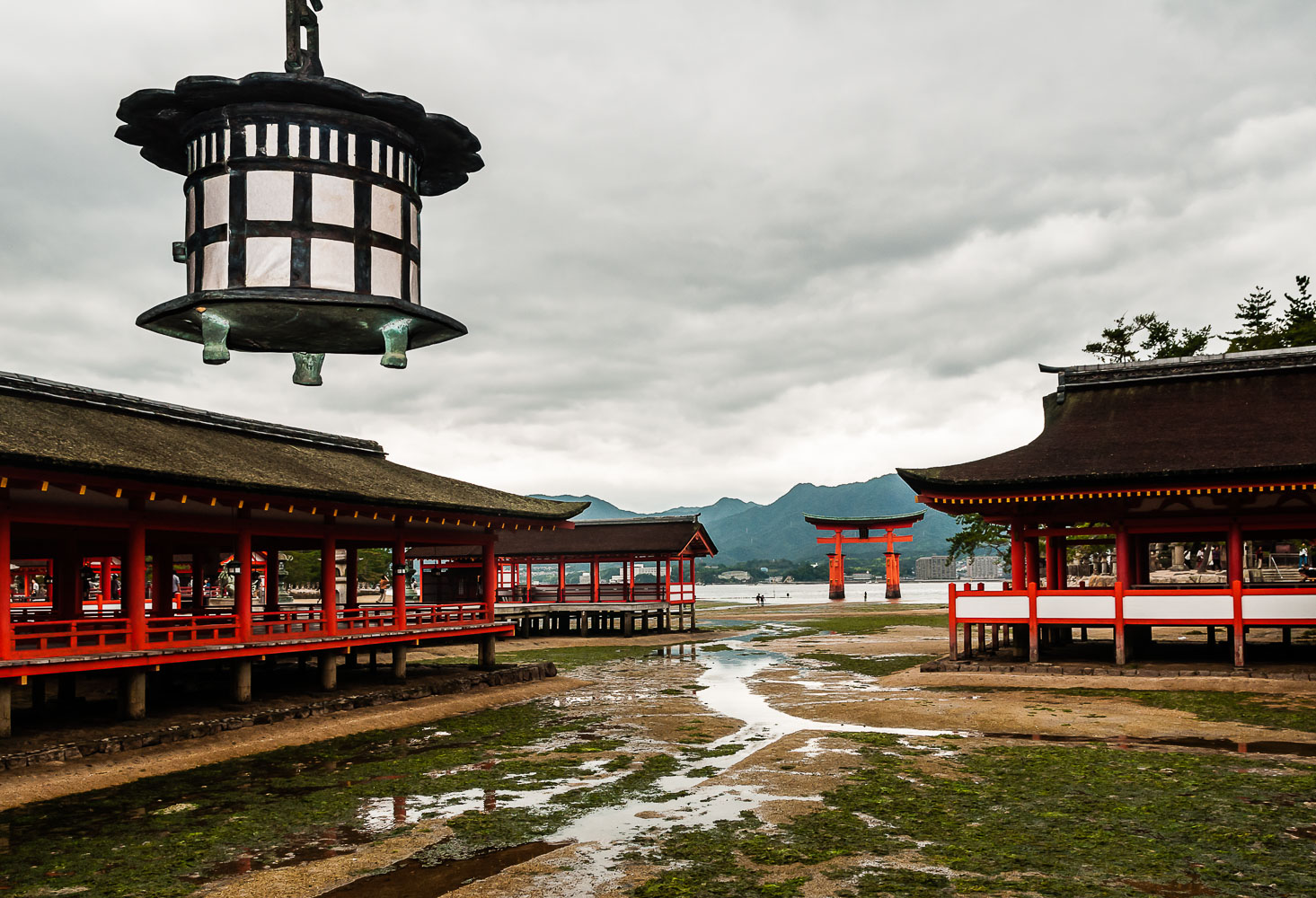 JA080973E-Miyajima-Itsukushima-Shrine.jpg