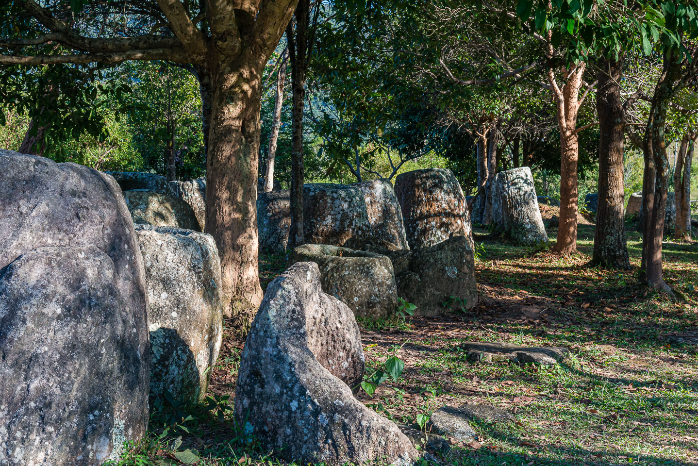 LA163664-Plane-of-Jars.jpg