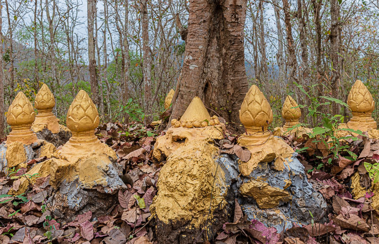 In the forest near Xieng Men LA160342-In-the-forest-near-Xieng-Men.jpg