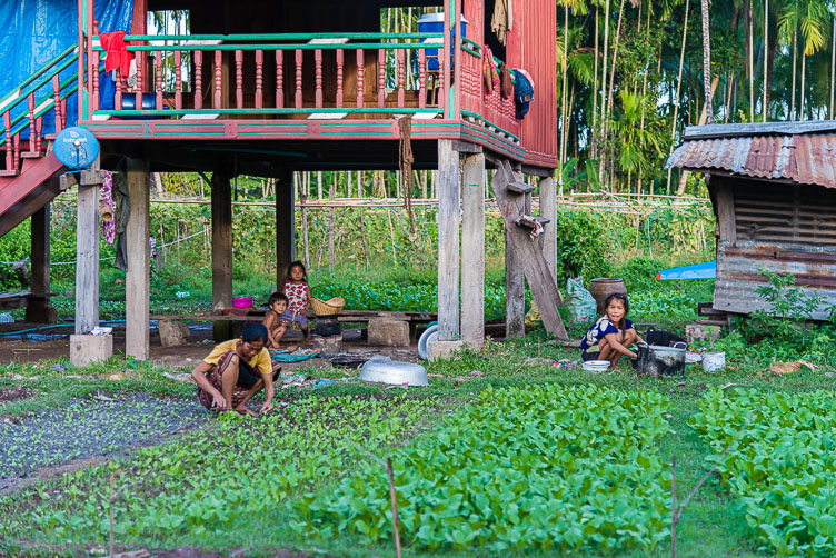 LA170290-Don-Som---villagers-have-vegetable-gardens.jpg