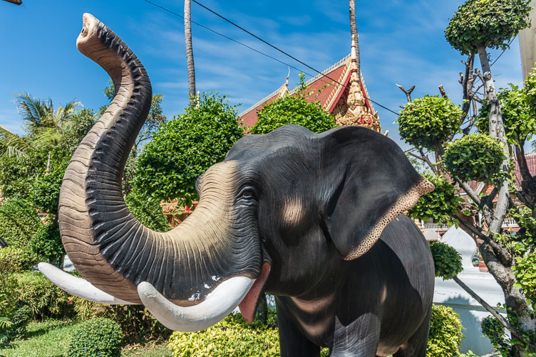 LA170024-Elephant-in-front-of-Wat-Chan.jpg