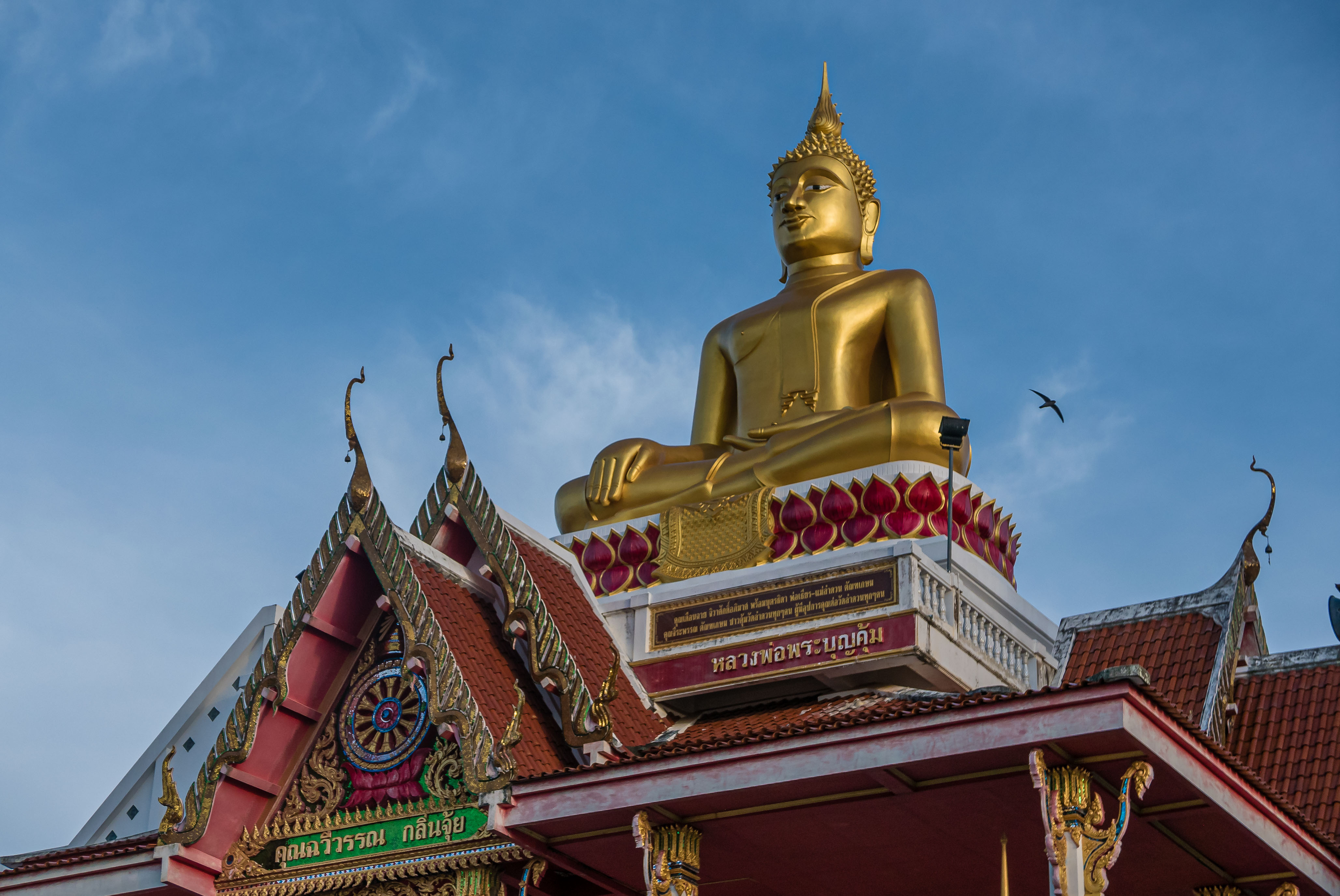 TL170021-Wat-Lam-Duan.jpg