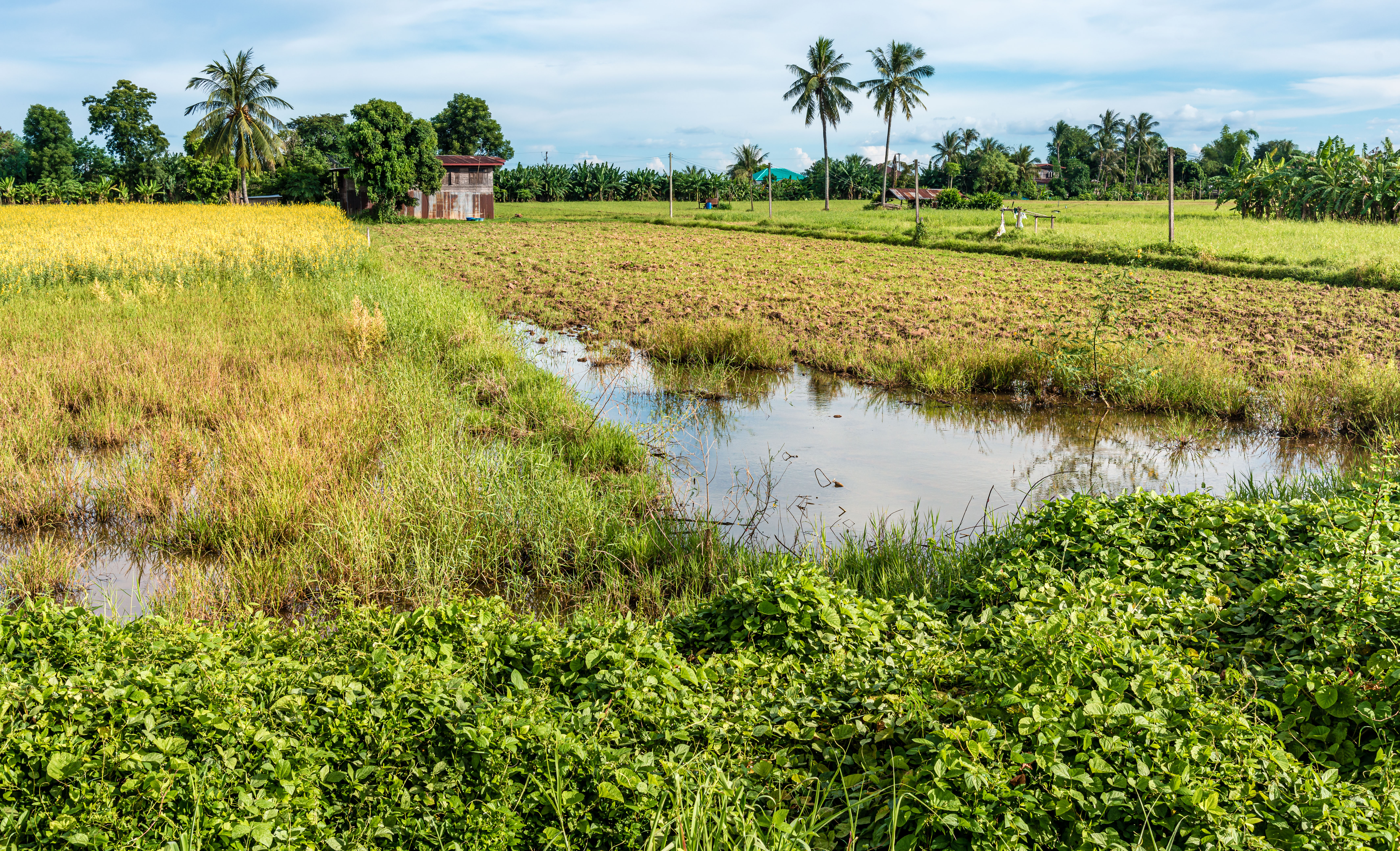 TL170068-Rural-Nong-Khai.jpg