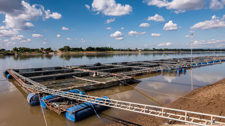 TL171078-Fish-ponds-in-the-Mekong.jpg