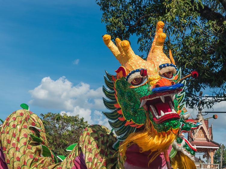 Colorful dragons on sticks TL171119-Colorful-dragons-on-sticks.jpg