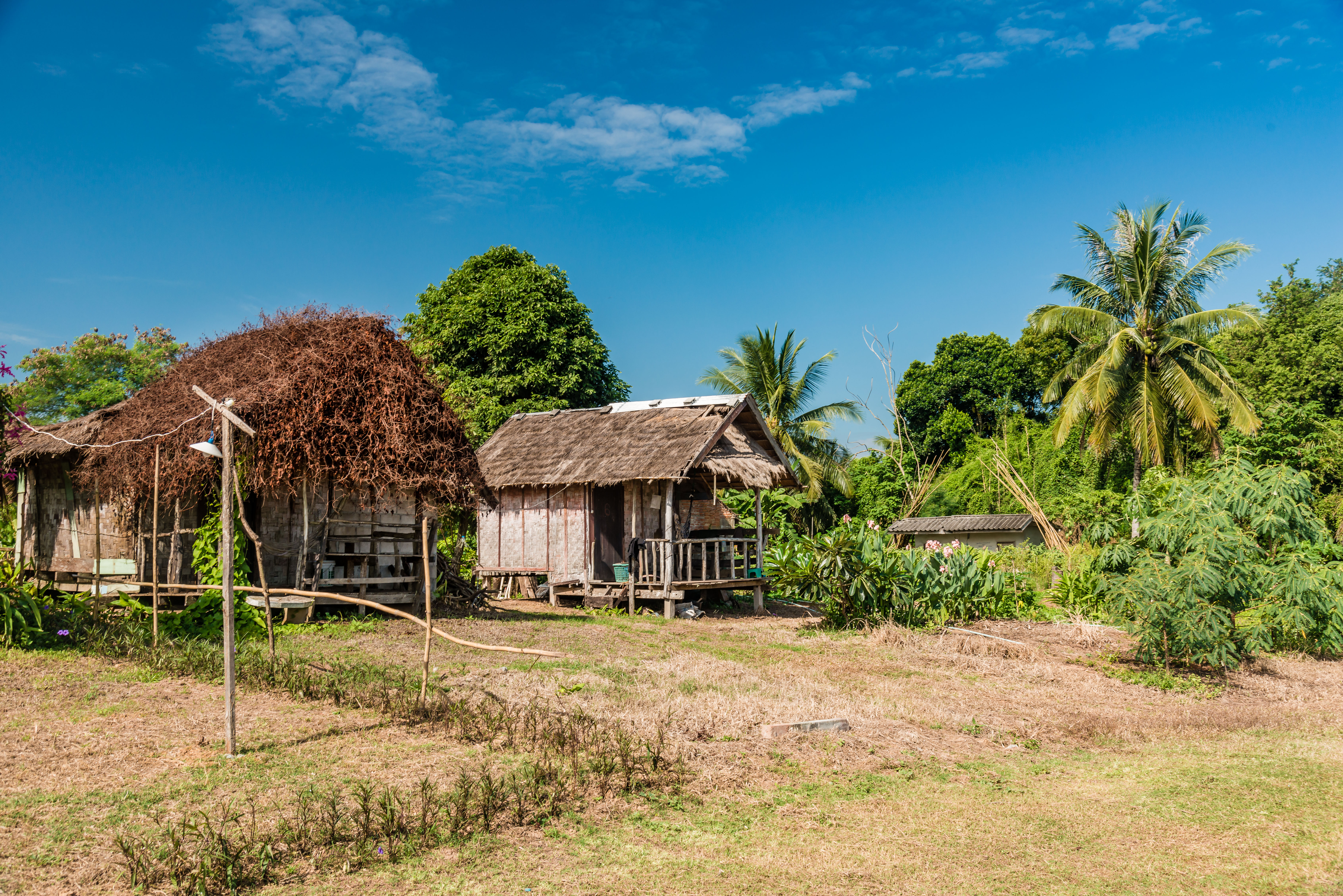 TL170861-Nice-cottages-along-the-Mekong-in-Sangkhom.jpg