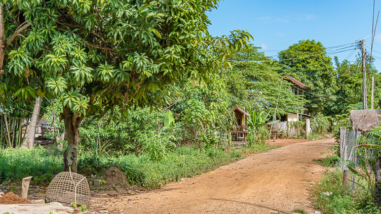 TL170876-A-village-road-on-the-Lao-side-of-the-Mekong_.jpg