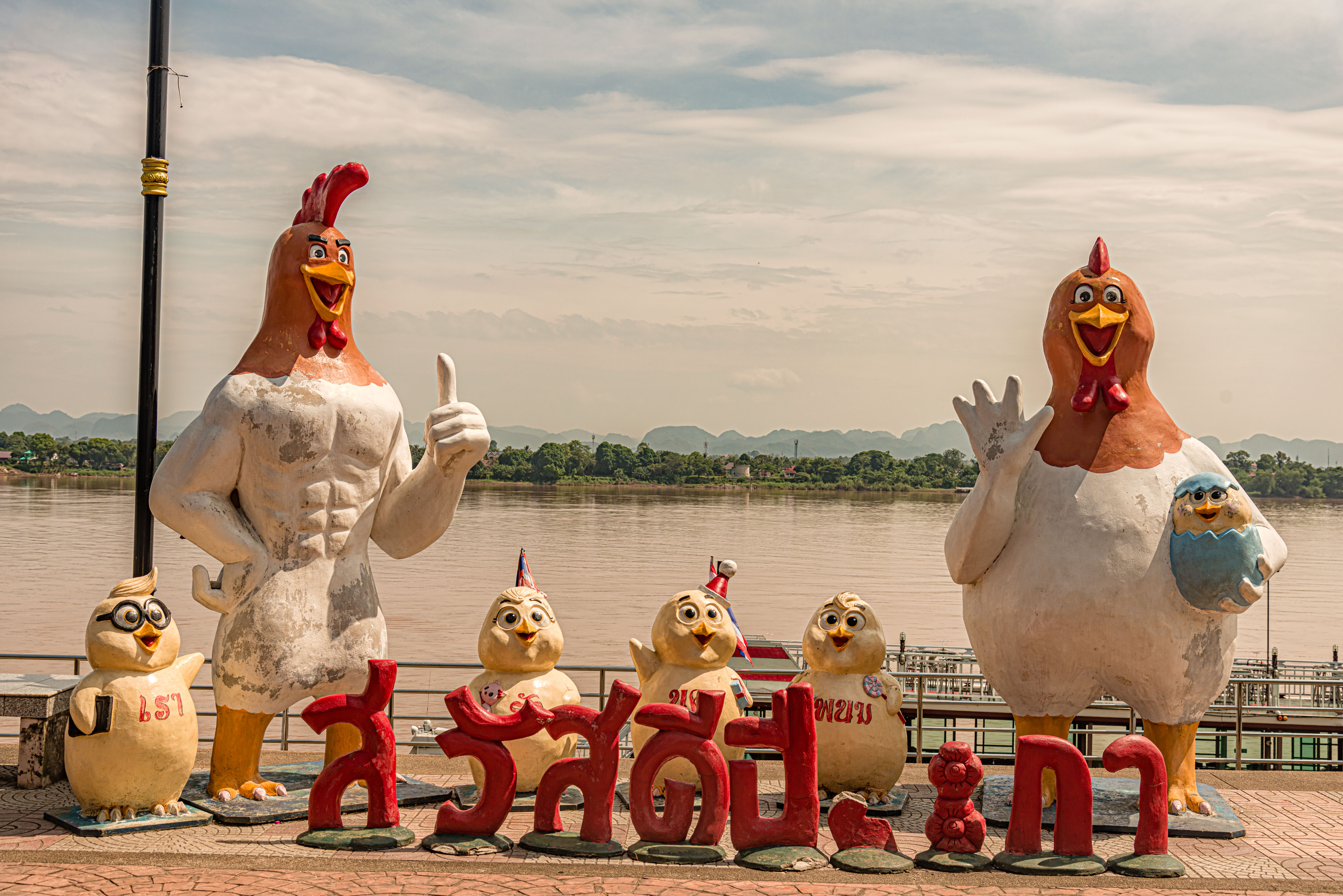 TL170181-The-chicken-family.jpg