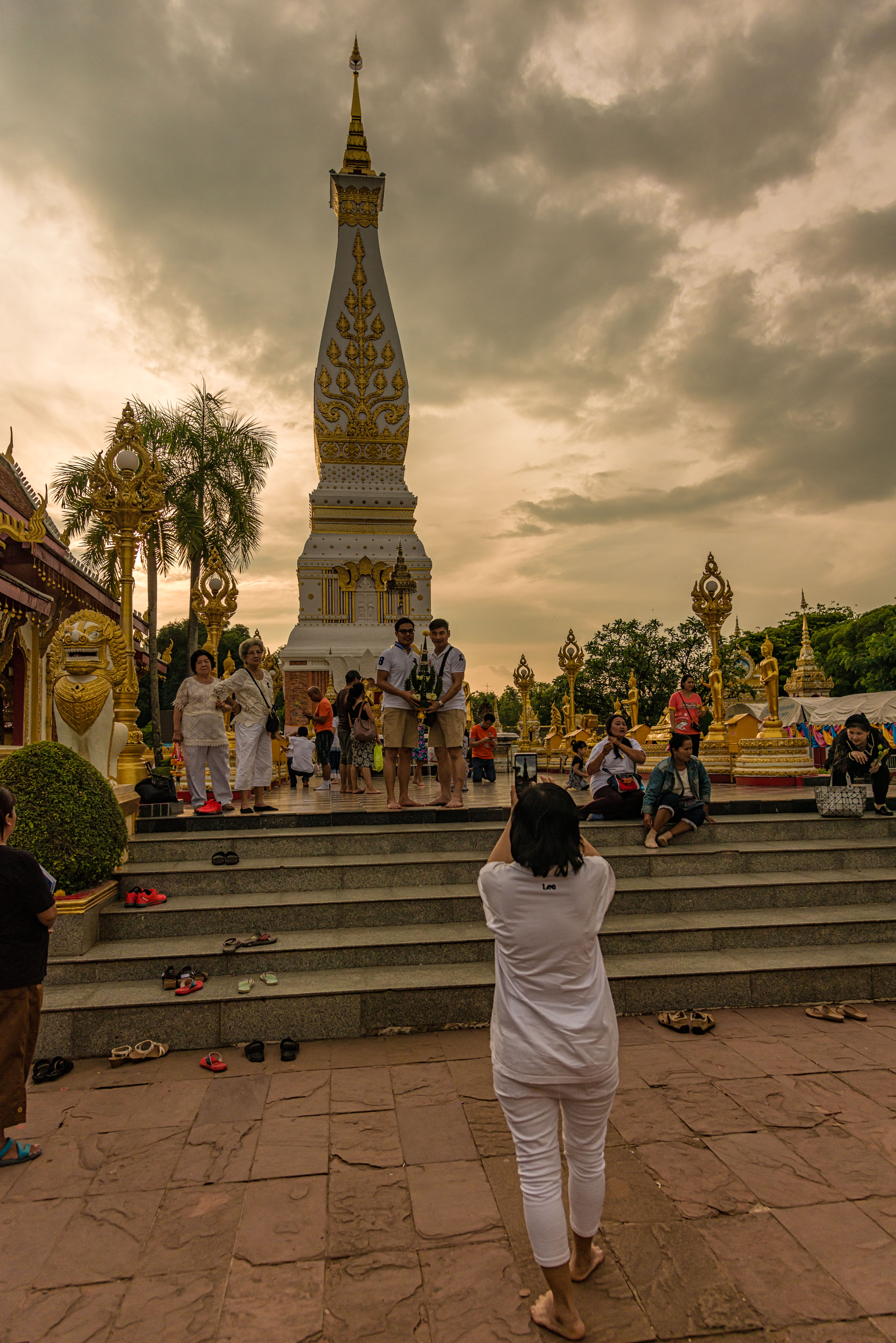 TL170218-That-Phanom-in-That-Phanom.jpg